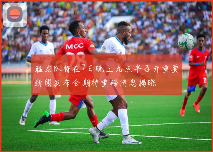 猛龙队将在7日晚上九点半召开重要新闻发布会期待重磅消息揭晓