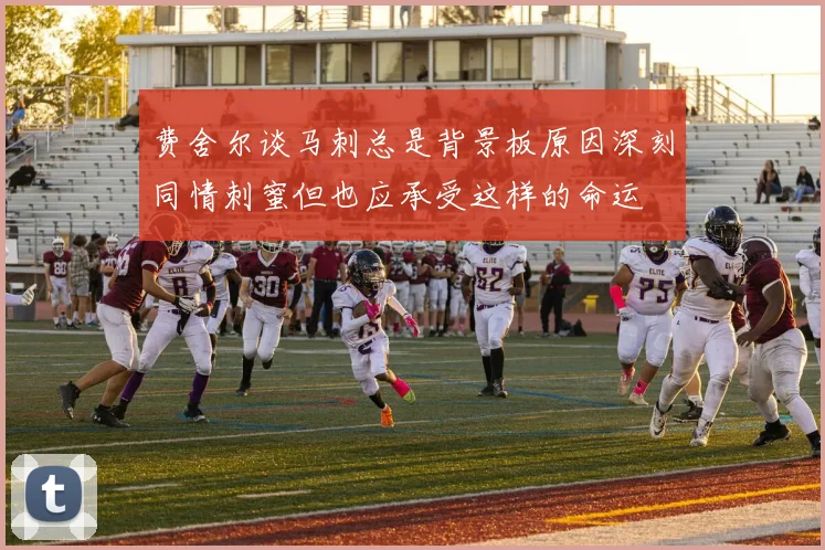费舍尔谈马刺总是背景板原因深刻同情刺蜜但也应承受这样的命运